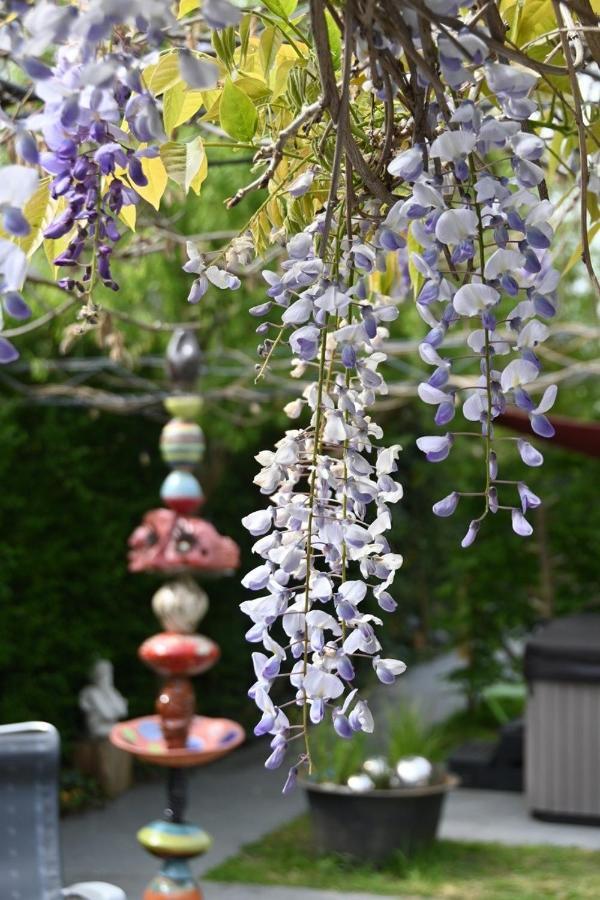 Chillann Bed & Breakfast Denderleeuw ภายนอก รูปภาพ