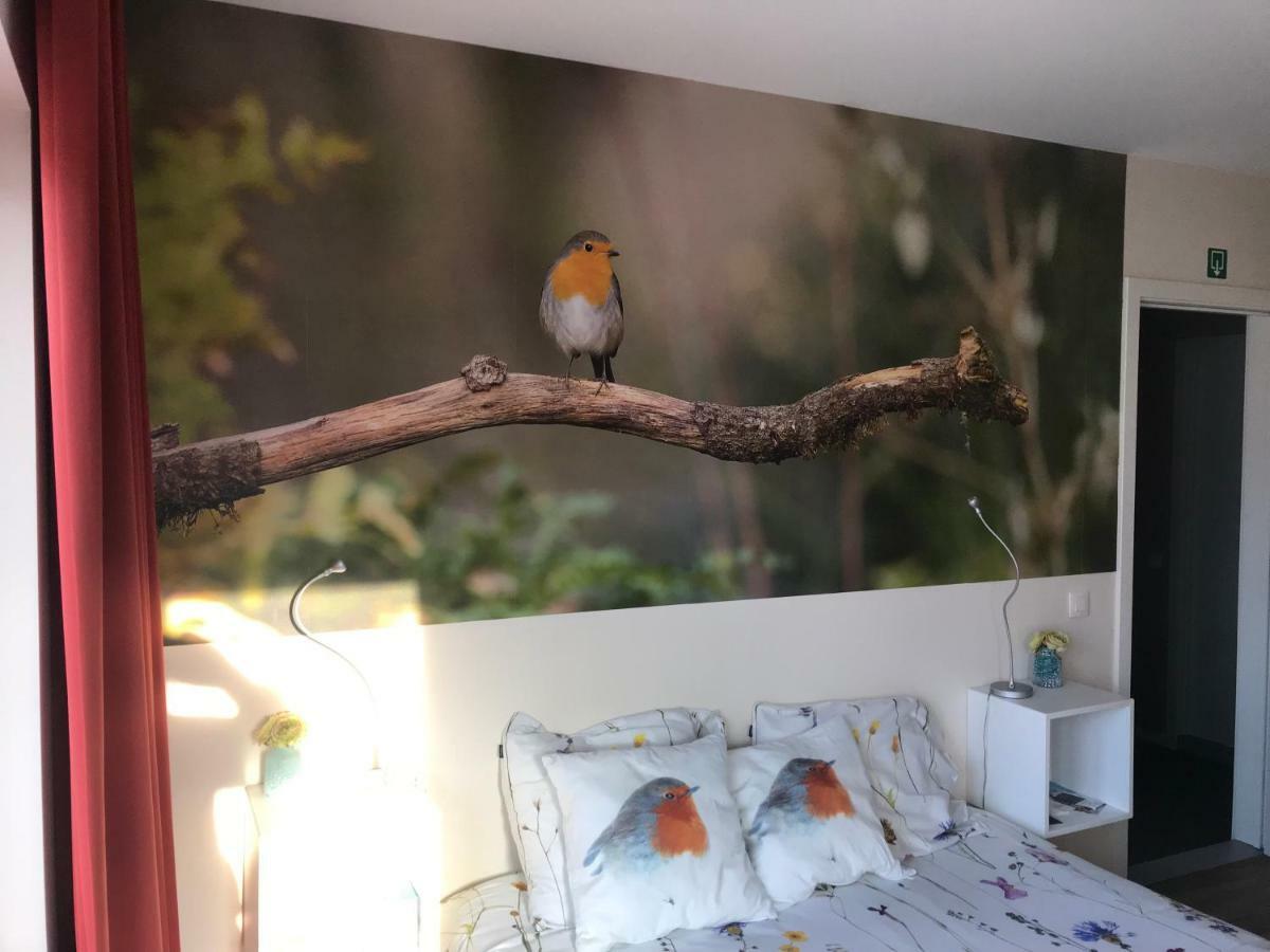 Chillann Bed & Breakfast Denderleeuw ภายนอก รูปภาพ